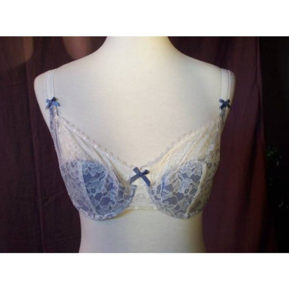 Elle Macpherson Other - ELLE MACPHERSON Cupcake Demi Lace Bra Blue and White 32B NEW